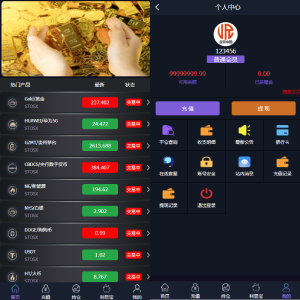 全新二开框架微盘系统/黑色理财外汇系统